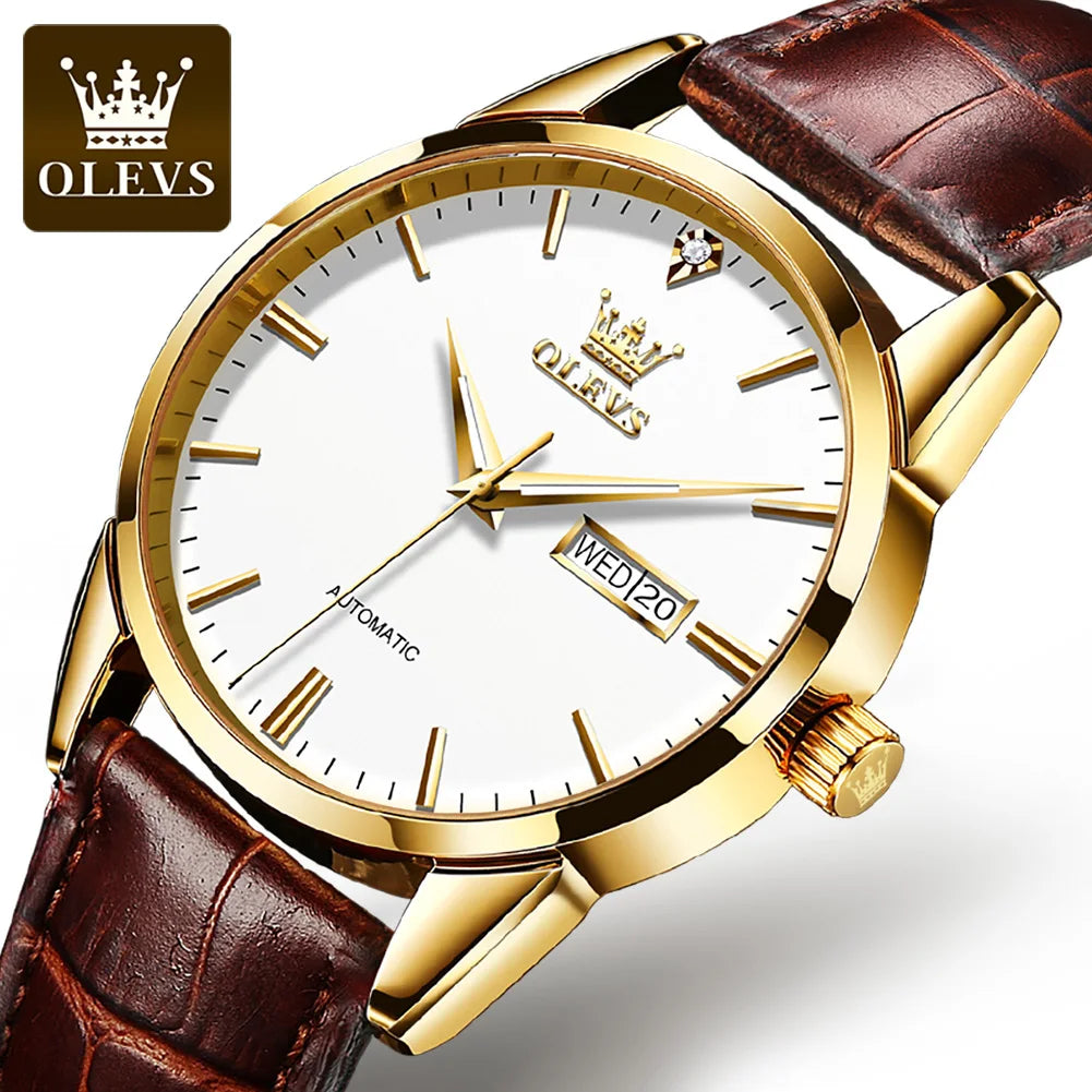 OLEVS 6629 Classic Mechanical Watch - Leather Business Design