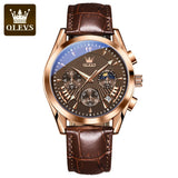 OLEVS 2876 Chronograph Watches Genuine Leather Stainless Steel Wrist Watch Men Watch Luxury