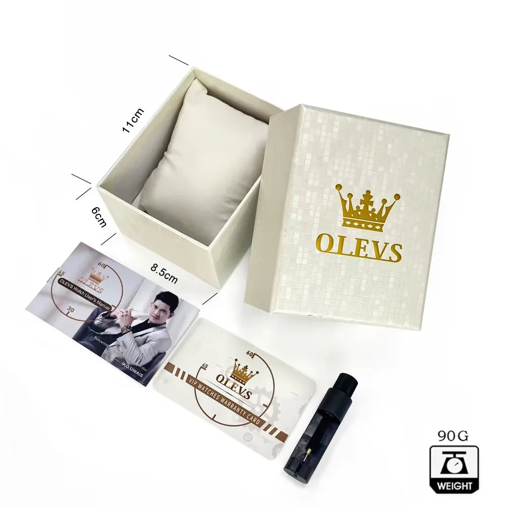 OLEVS 6629 Classic Mechanical Watch - Leather Business Design