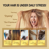 Moroccan Hair Care Essential Oil Nourishes Hair Nut Oil Smooths Brightens Softens Hair essence Repairs Hairy Dry Scalding Damage