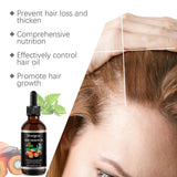 Hair Care Essence Oil Nourishing Treatments Scalp Dry Damaged Hair Regrowth Preventing Baldness Health Hair Growth Liquid 60ml
