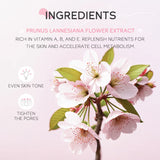 Japan Sakura Cleansing Mousse 100ml Deep Clean Moisturizing Foam Face Wash For All Skin Types Whitening  Beauty Bubble Skincare