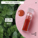 Plumping Clear Lip Oil Tint Glow Lipgloss Custom Logo Cruelty Free Fruit Color Changing Lip Plumper Wholesale Bulk 10pcs/lot