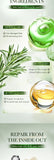 Hair Growth Essential Oil Rosemary Mint Hair Strengthening Oil Nourishing Treatment for Split Ends and Dry Organics Hair Care