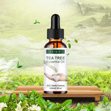 Natural Tea tree oil moisturizing facial body feminine skin care skin repair moisturizing Aromatherapy pure massage essential oi