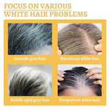 White To Black Hair Oil Herbal Repair Nourish Moisturize Scalp Treat White Hair Dry Damaged Hair For Daily Hair Care