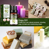 10ml Tea Tree Essential Oil Compound Plant Hydrating Oil-control Remove Pore Anti-acne Moisturizing Brighten Face Skin Care