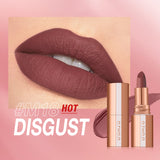 Matte lipstick
